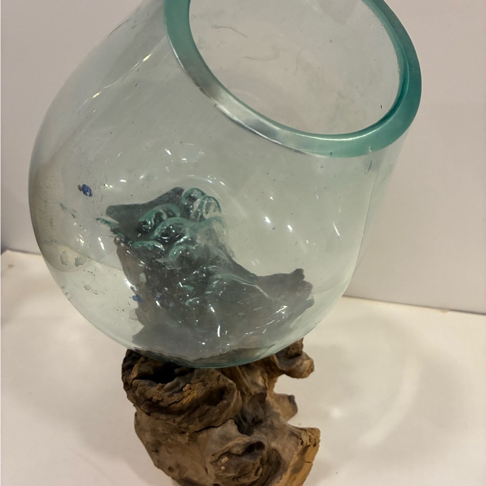 Atrium/Fishbowl Glass Teak Burl Wood Fishbowl/Airplant Display
Molten Glass - Picture 9 of 14